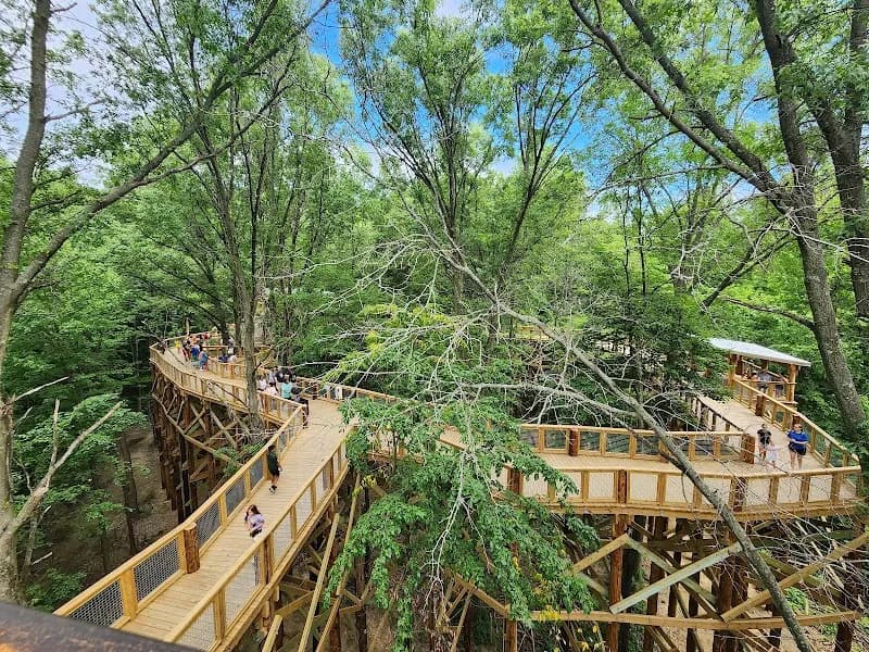 View of Blacklick Woods Metro Park in Reynoldsburg, OH