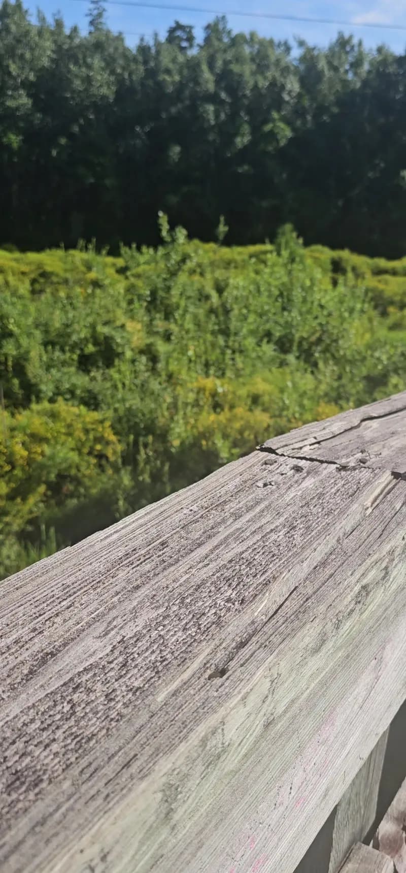 View of Blackwater Heritage State Trail - Bagdad Access in Bagdad, FL