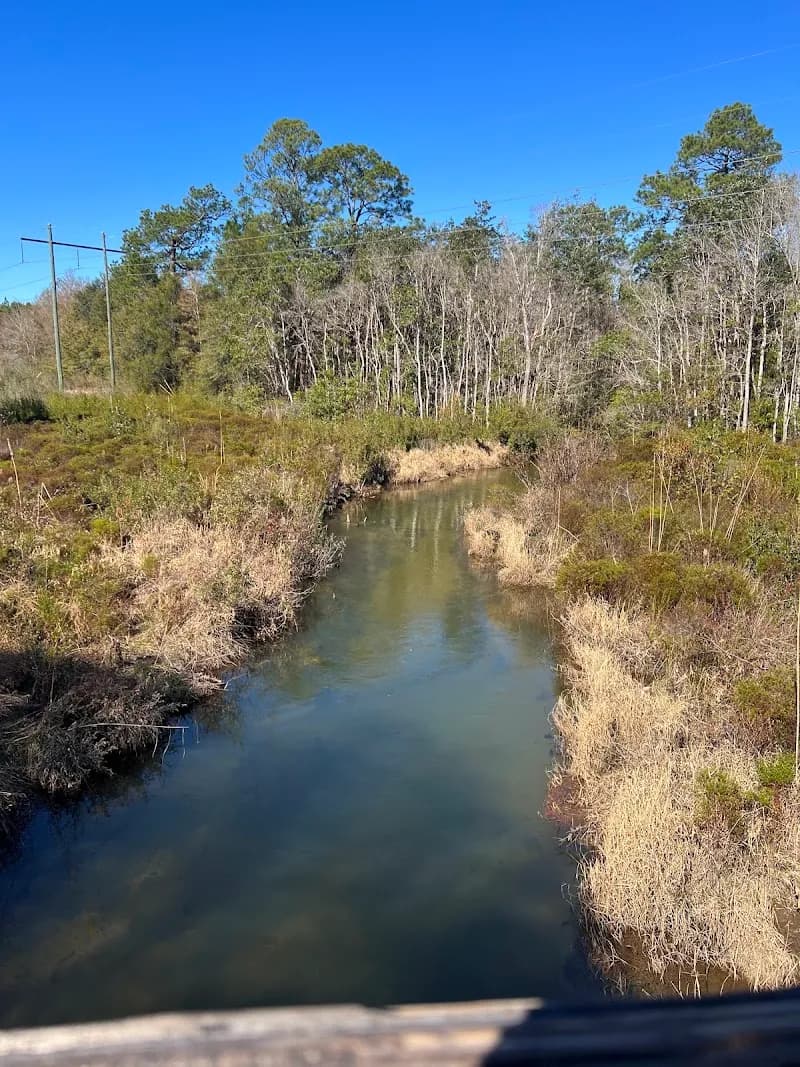 View of Blackwater Heritage State Trail - Bagdad Access in Bagdad, FL