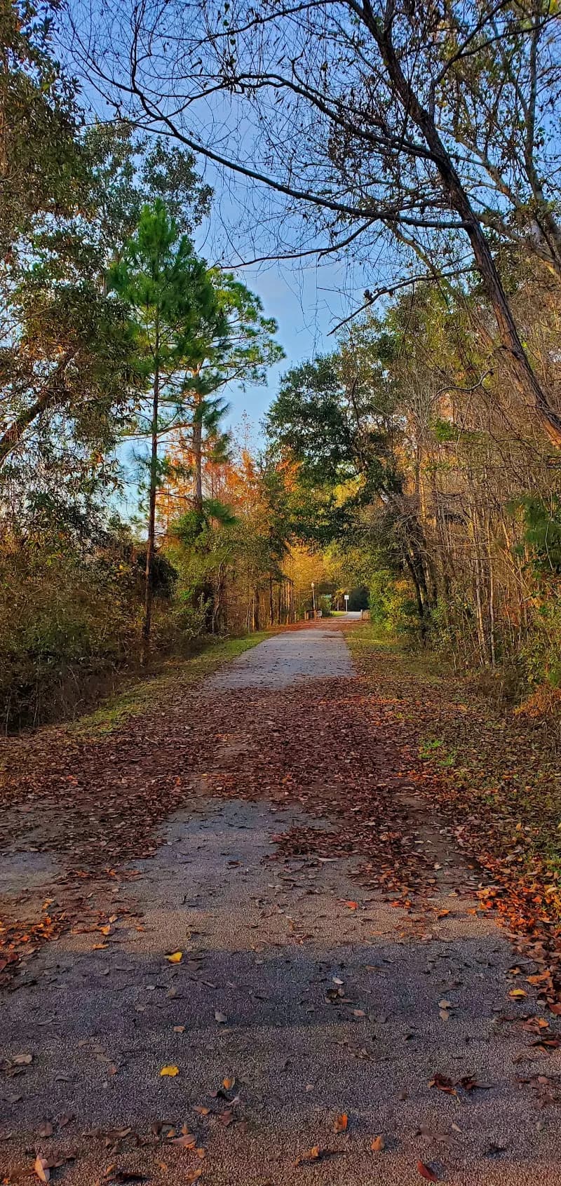 View of Blackwater Heritage State Trail in Milton, FL