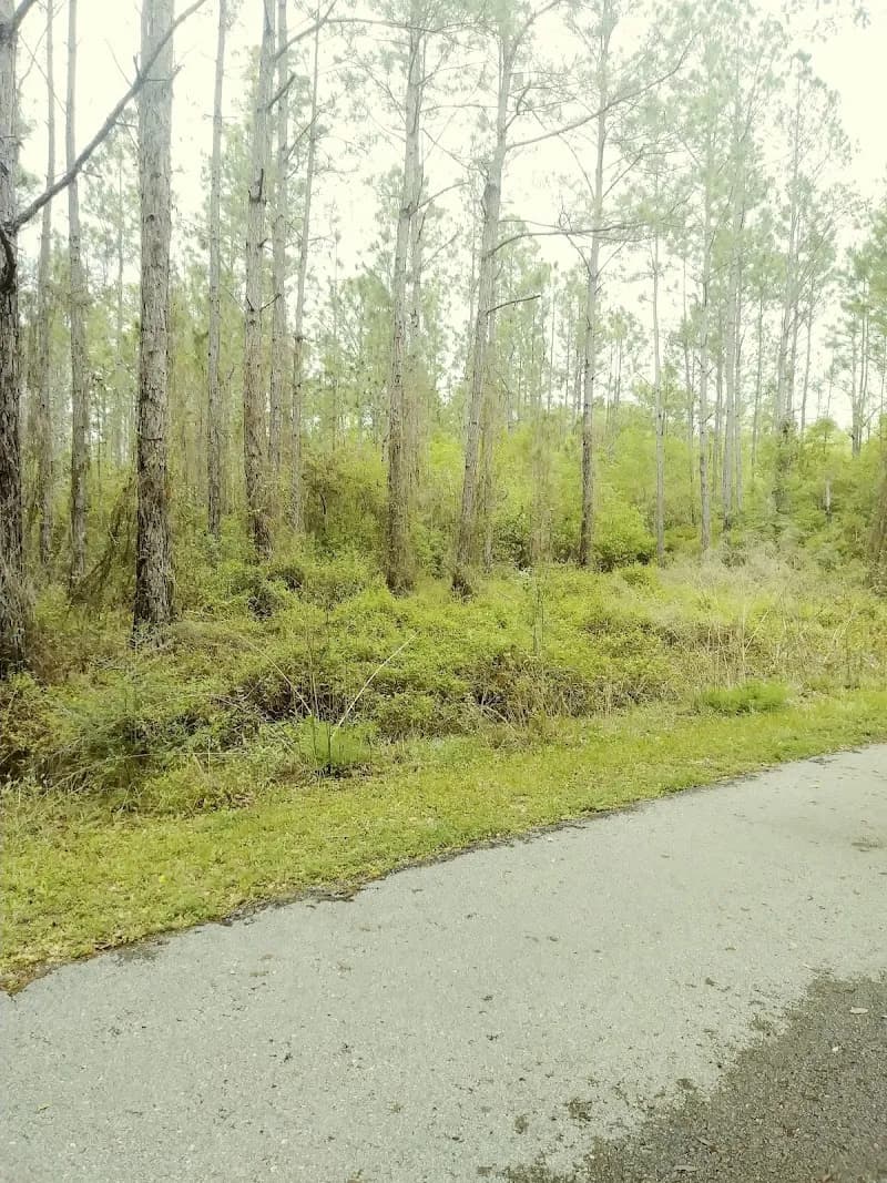 View of Blackwater Heritage State Trail in Milton, FL