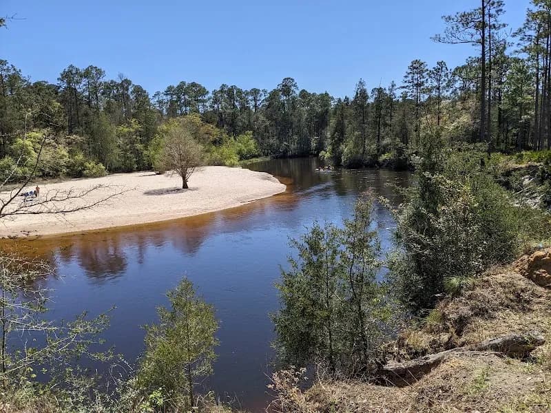 View of Blackwater River State Forest in Pace, FL