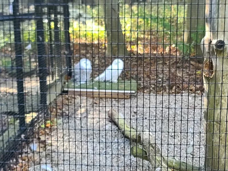 View of Blue Hills Trailside Museum in Milton, MA