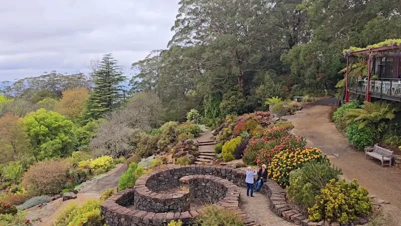 View of Blue Mountains Botanic Garden Mount Tomah in Blue Mountains, NSW