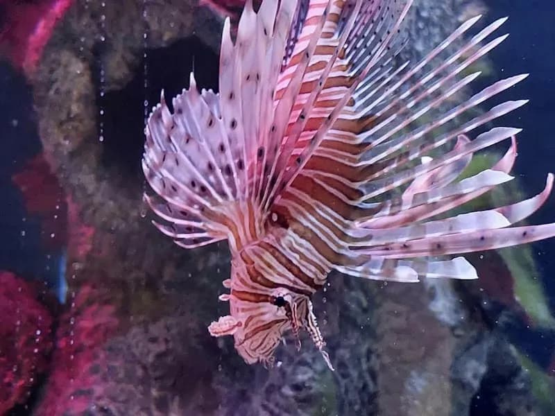 View of Blue Zoo Aquarium Spokane in Spokane, WA