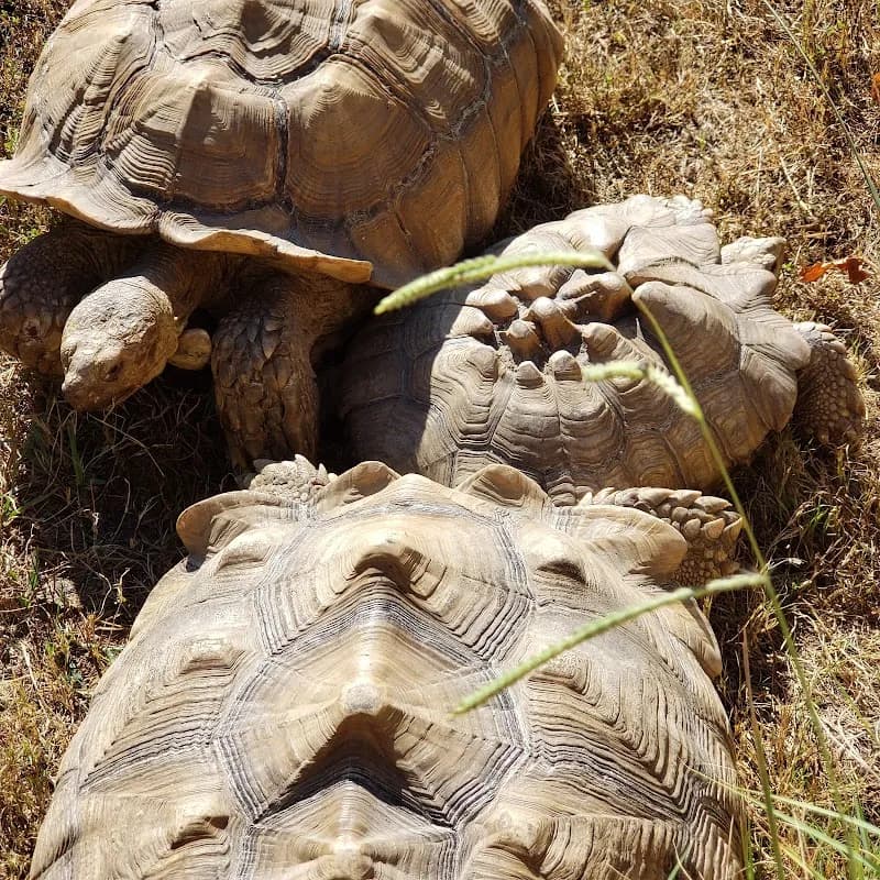 View of Bluebird Gap Farm in Hampton, VA