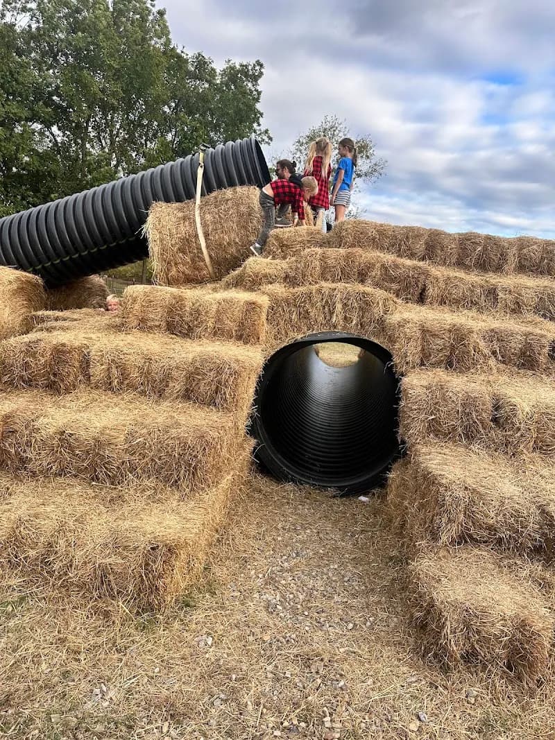 BoBrook Farms winery in Little Rock, AR