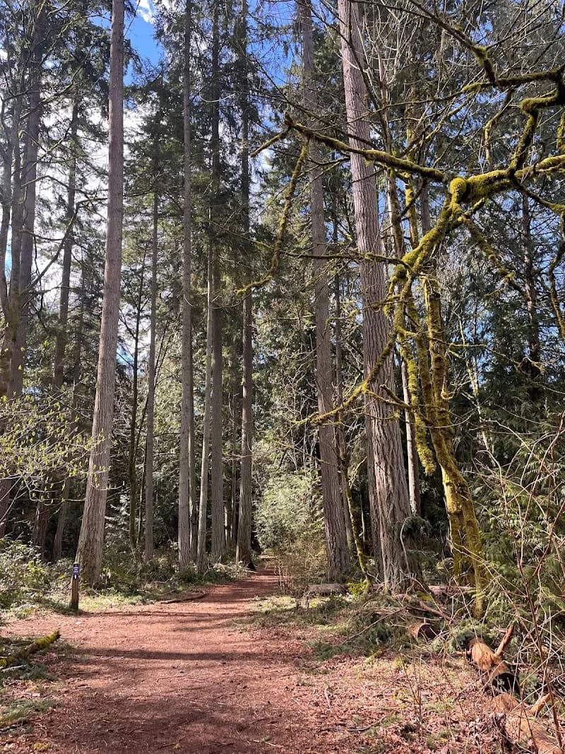 View of Boeing Creek Park in Shoreline, WA