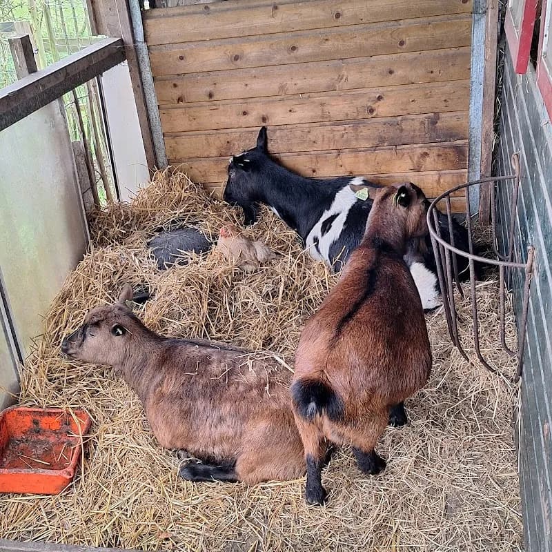 View of Boerderij De Watertuin in Bussum, NH