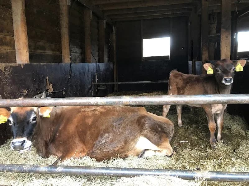Boerderij Eyckenstein farm in Bussum, NH