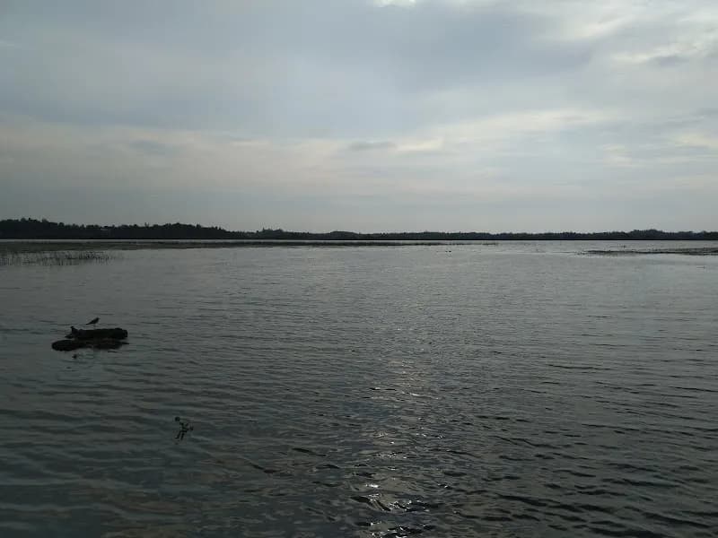 View of Bolgoda Lake in Panadura, WP