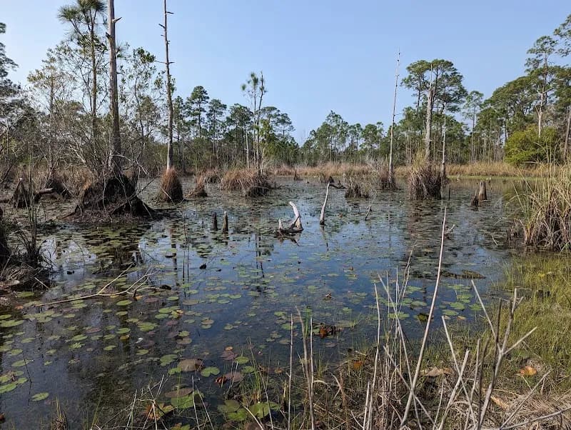 Bon Secour National Wildlife Refuge wildlife refuge in Orange Beach, AL