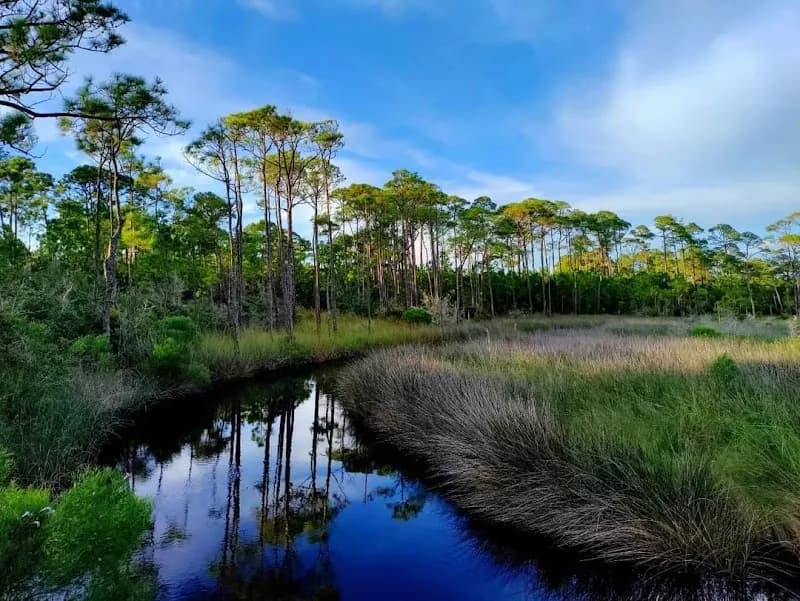 View of Bon Secour National Wildlife Refuge in Orange Beach, AL