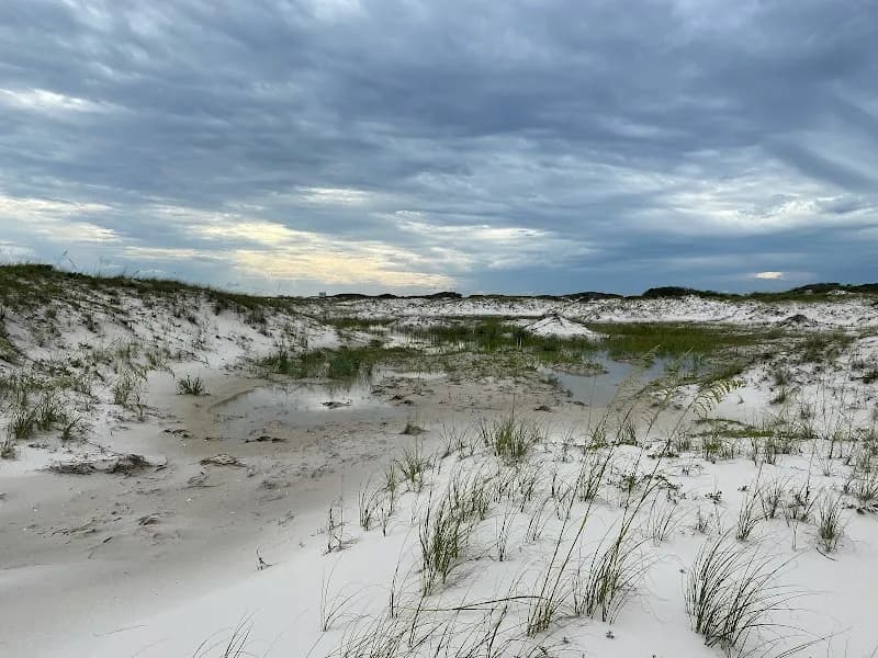 View of Bon Secour National Wildlife Refuge in Orange Beach, AL