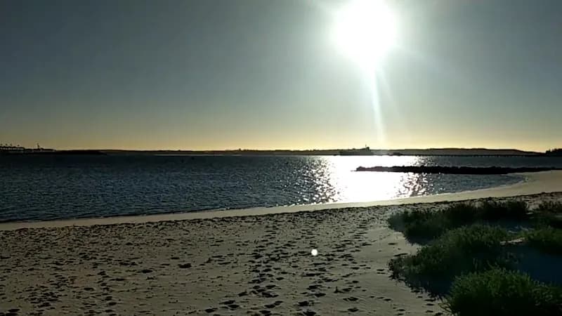 View of Bonna Point Reserve in Sutherland Shire (Sutherland), NSW