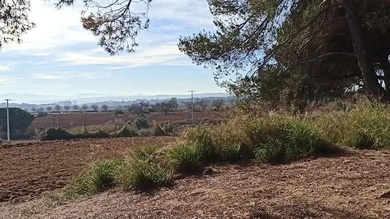 View of Bosc de Can Deu in Cerdanyola del Vallès, CT