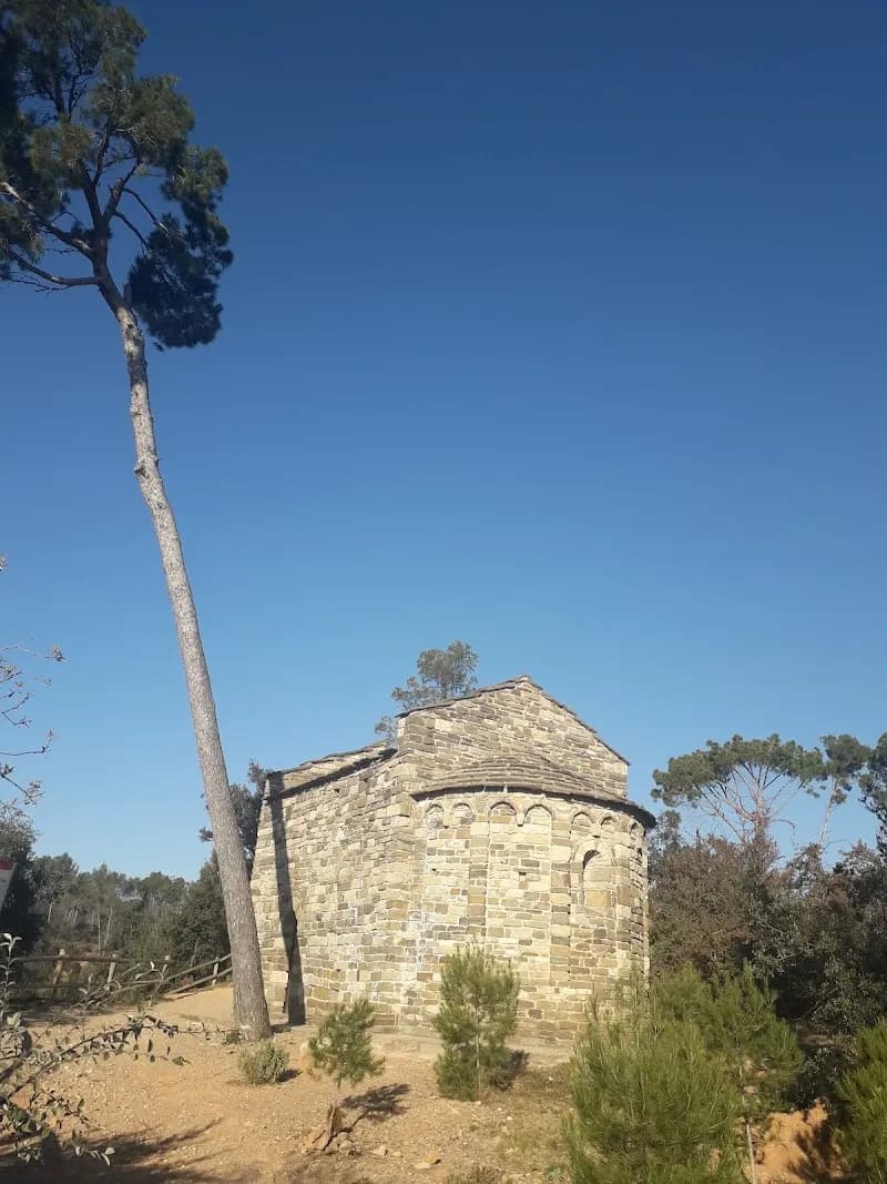 View of Bosc de Can Deu in Cerdanyola del Vallès, CT