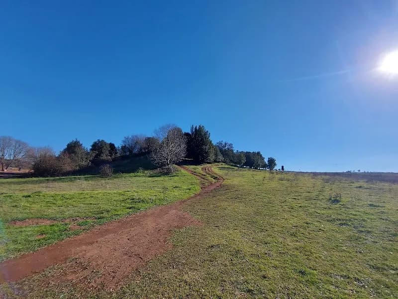 Bosco Sacro hiking area in Pomezia, Lazio