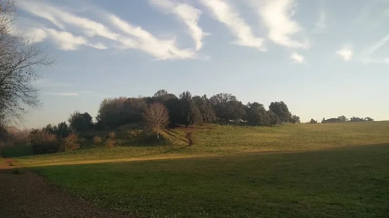 View of Bosco Sacro in Pomezia, Lazio