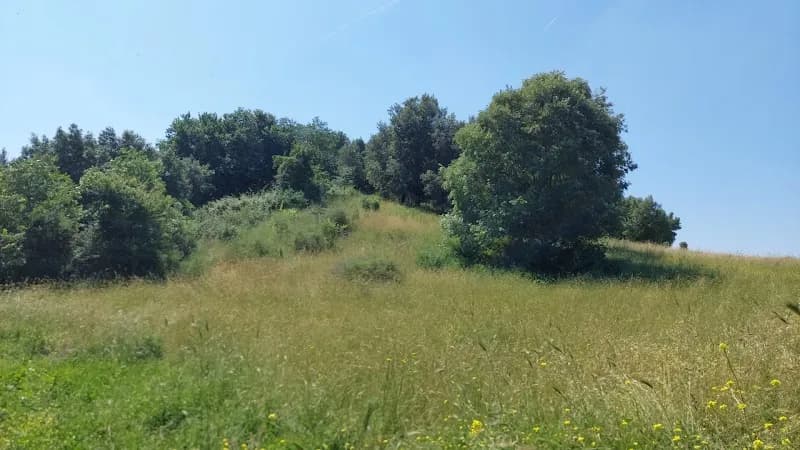 View of Bosco Sacro in Pomezia, Lazio