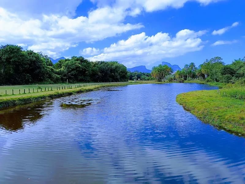 View of Bosque da Barra in Jacarepaguá, RJ