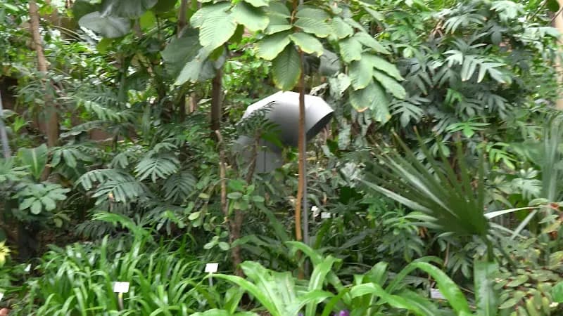 View of Botanical Garden and Botanical Museum in Zehlendorf, BE