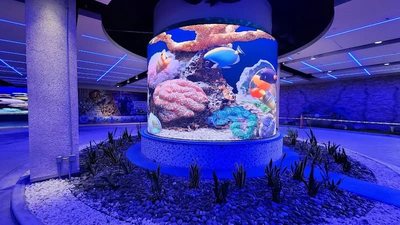 View of Bowlero Anaheim in Anaheim, CA