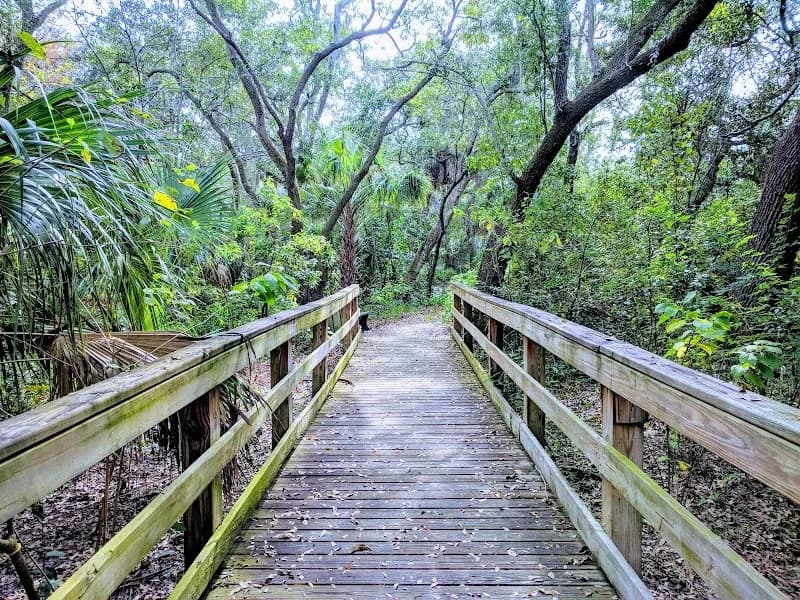 View of Boyd Hill Nature Preserve in St. Petersburg, FL