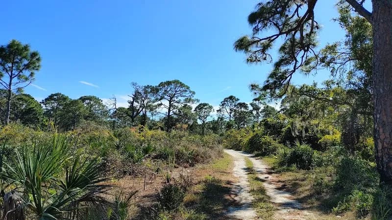 View of Boyd Hill Nature Preserve in St. Petersburg, FL