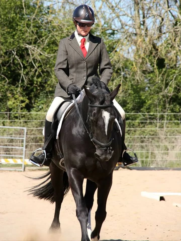 Brackenstown Manor Equestrian Centre farm in Swords, D