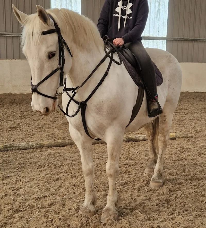 View of Brackenstown Manor Equestrian Centre in Swords, D