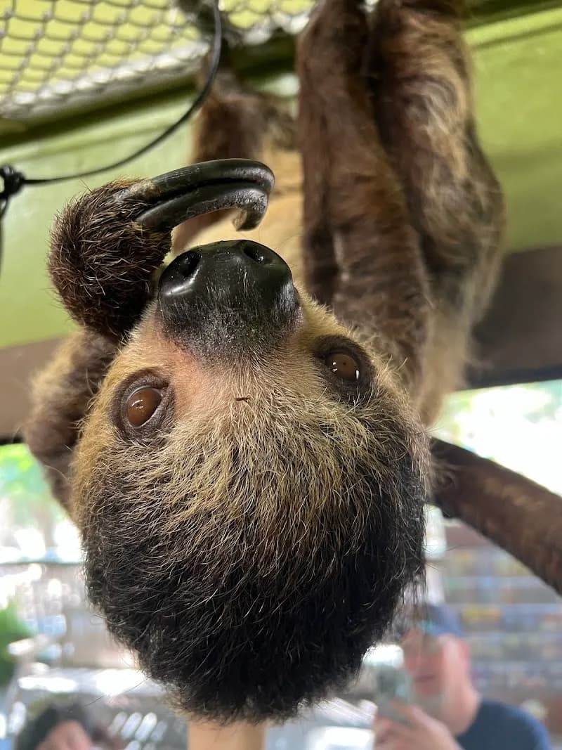 View of Branson's Promised Land Zoo in Branson, MO