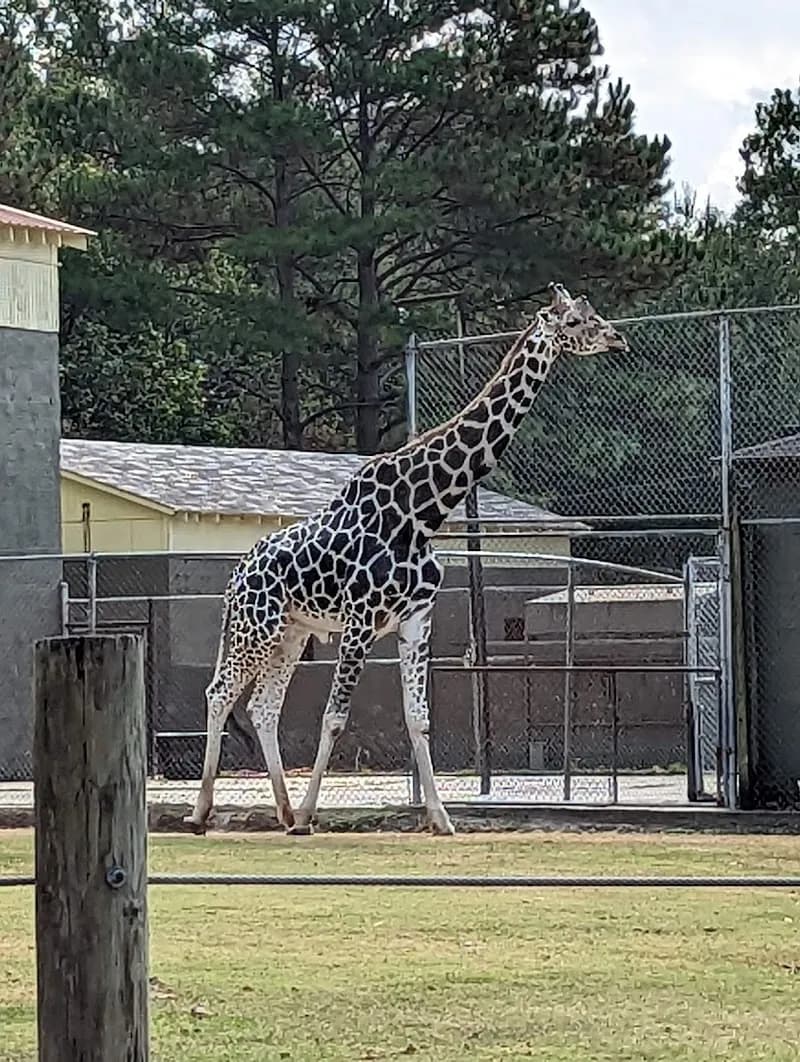 View of BREC's Baton Rouge Zoo in Baton Rouge, LA