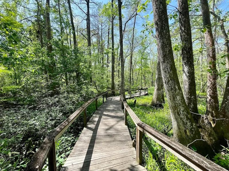 BREC's Bluebonnet Swamp Nature Center park in Oak Hills, LA