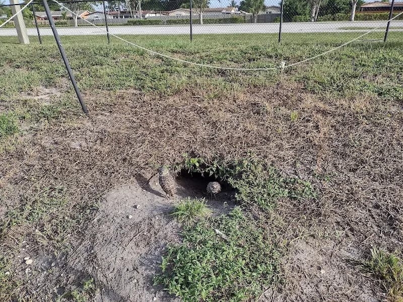View of Brian Piccolo Sports Park & Velodrome in Pembroke Pines, FL