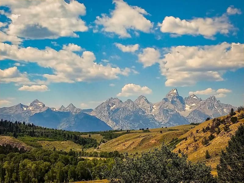 View of Bridger-Teton National Forest in Jackson, WY