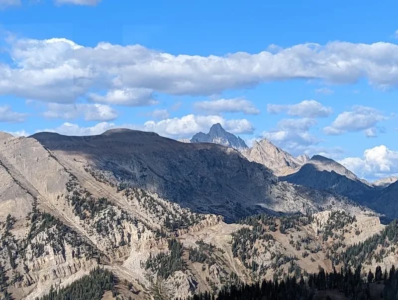 View of Bridger-Teton National Forest in Jackson, WY