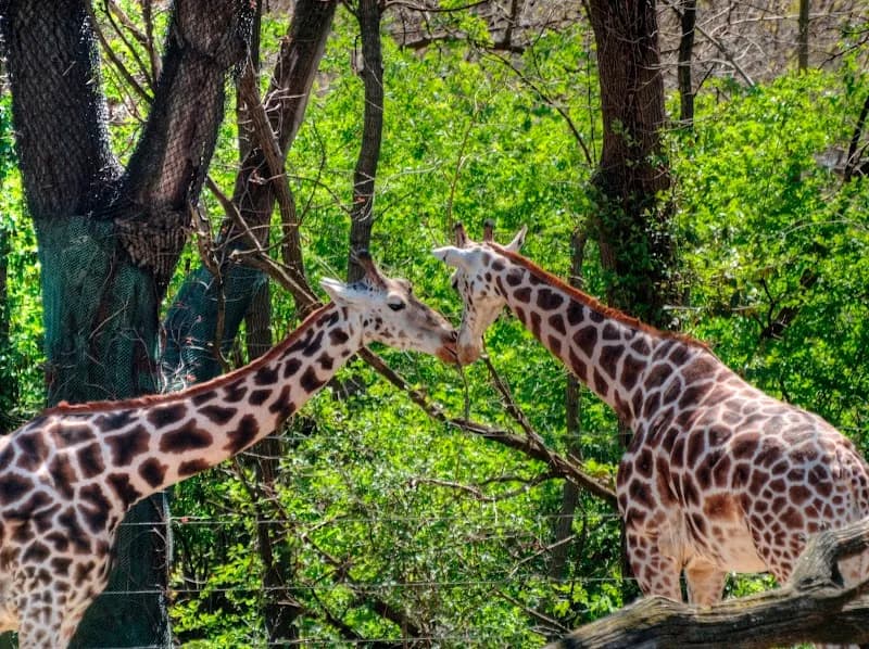 View of Bronx Zoo in Bronx, NY