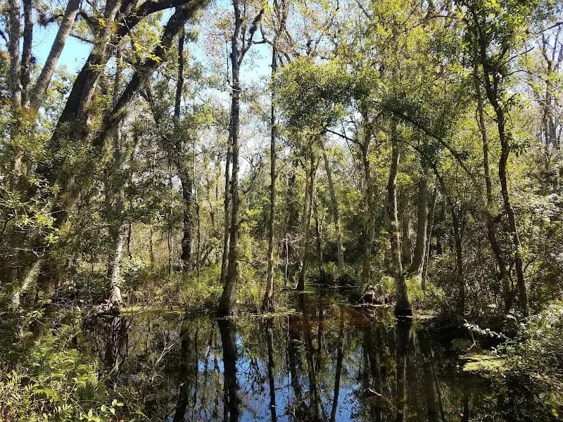 View of Brooker Creek Preserve & Environmental Education Center in Clearwater, FL