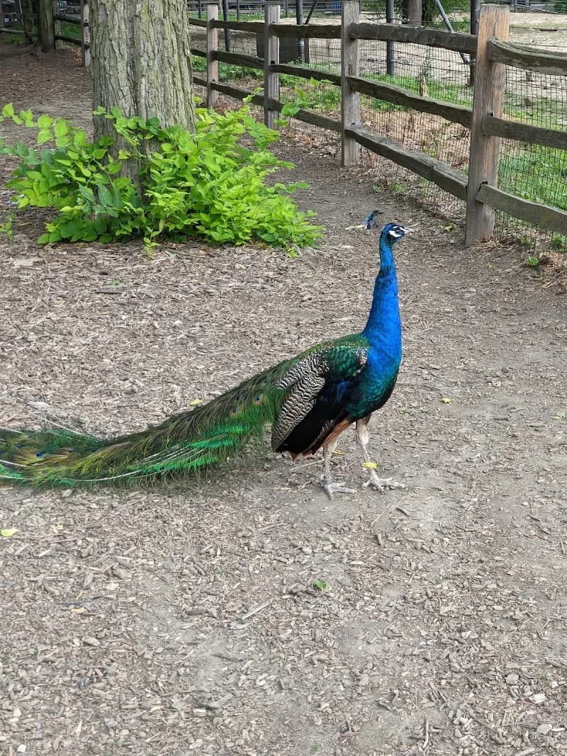 View of Brookfield Zoo in Brookfield, IL