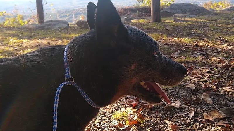 View of Brow Park in Mentone, AL