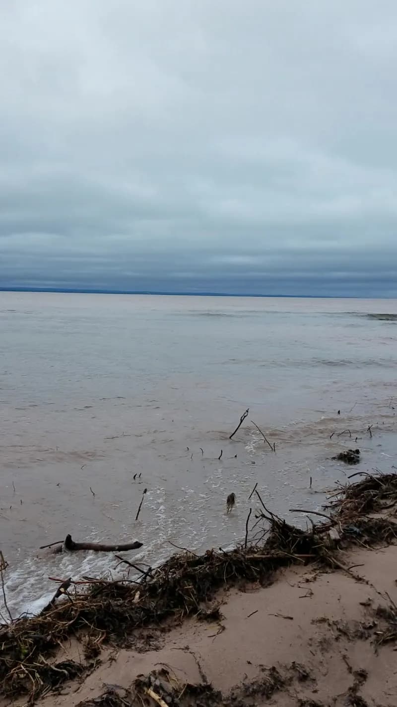 View of Brule River State Forest in Vulcan, MI