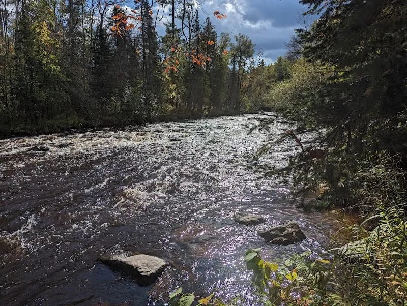 View of Brule River State Forest in Vulcan, MI