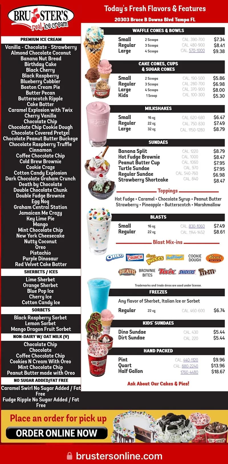 View of Bruster's Real Ice Cream in Carrollwood, FL