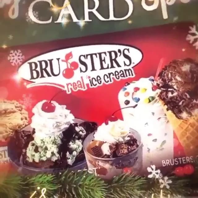 View of Bruster's Real Ice Cream in Carrollwood, FL