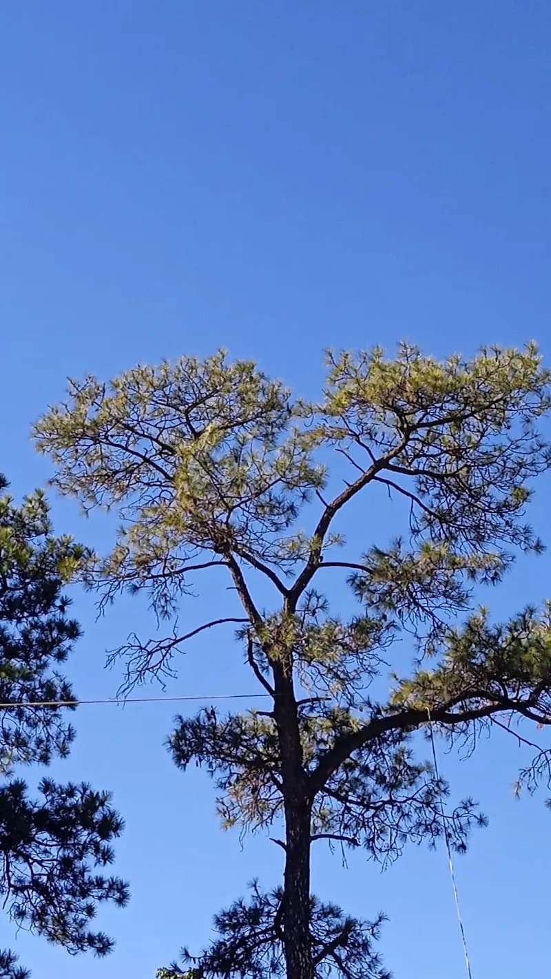 View of Bryanston Sports Club in Bryanston, GP