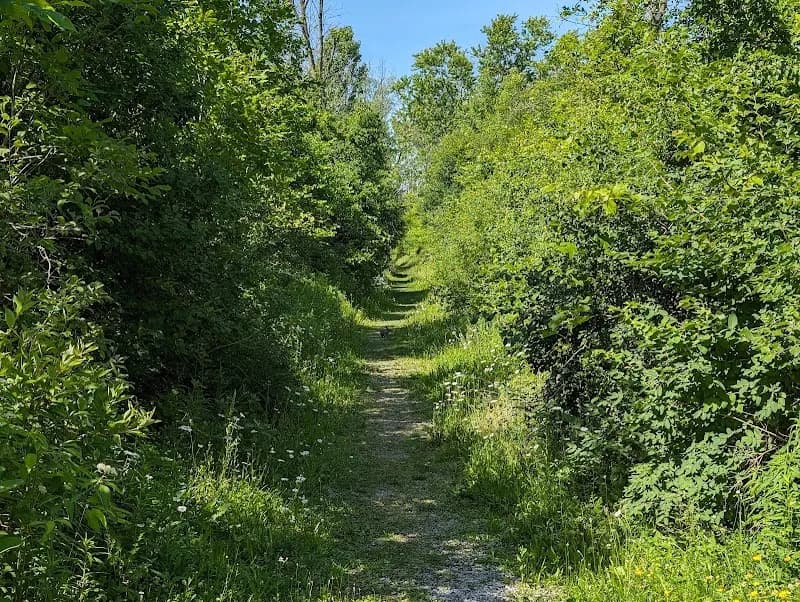 View of Buckhorn Island State Park in Grand Island, NY