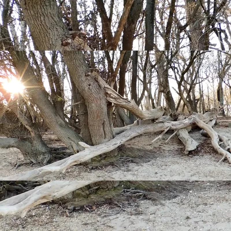 View of Óbuda Island in Óbuda, Budapest