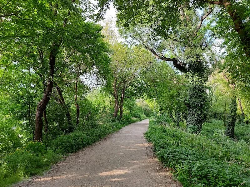 View of Óbuda Island in Óbuda, Budapest