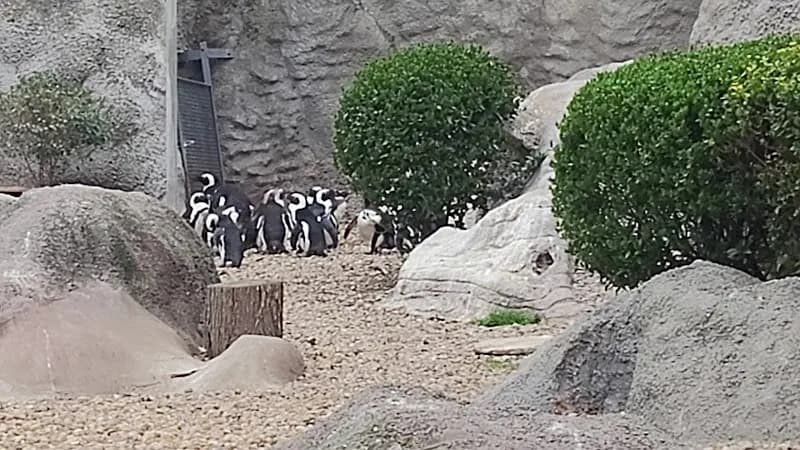 View of Budapest Zoo & Botanical Garden in Zugló, Budapest